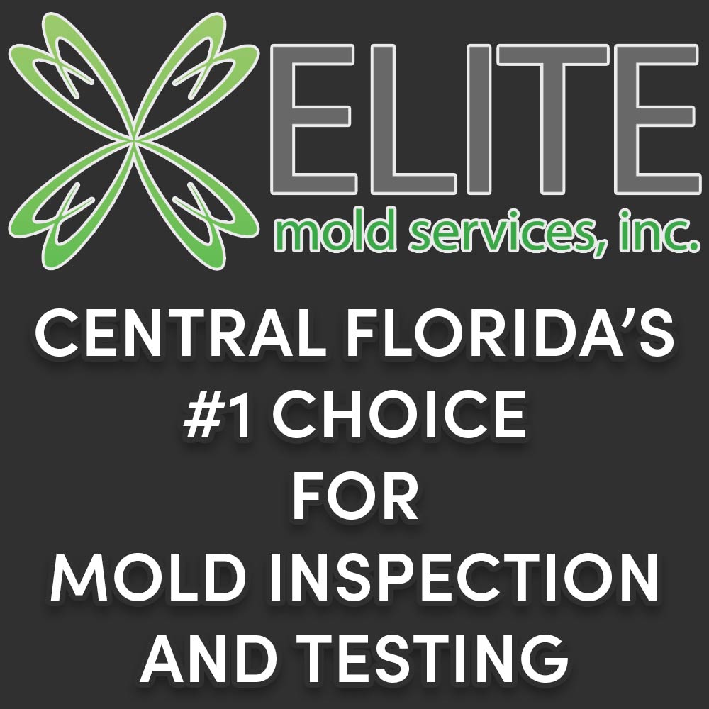Elite_Mold_Inspections