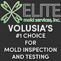 Volusia_Mold_Testing
