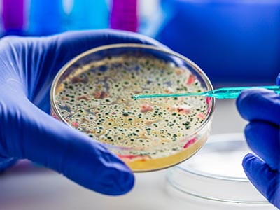 Bacteria_Testing