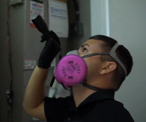 HVAC_Mold_Testing